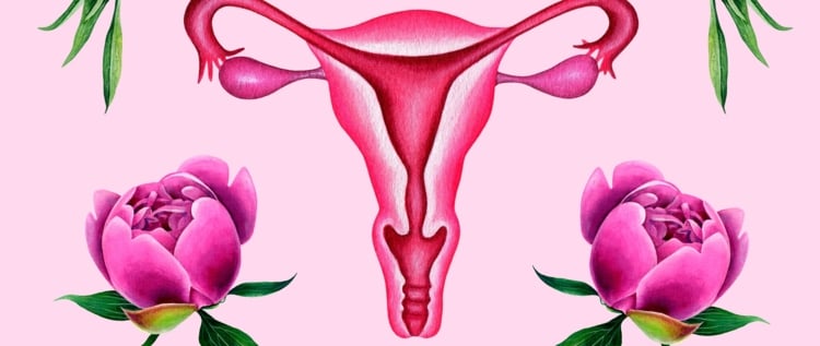 Grossesse et col de l'utérus court