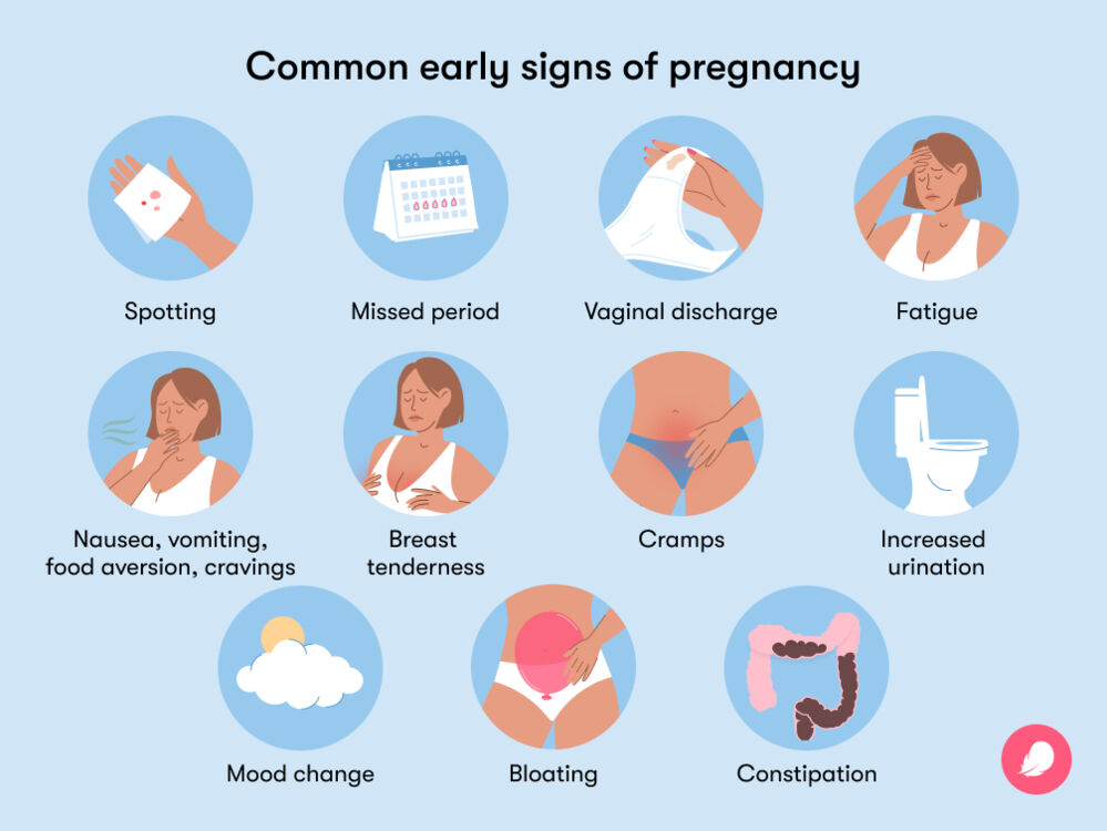 Some common early signs of pregnancy are missed periods, food aversion and cravings, cramps, fatigue, vaginal discharge, mood change and bloating