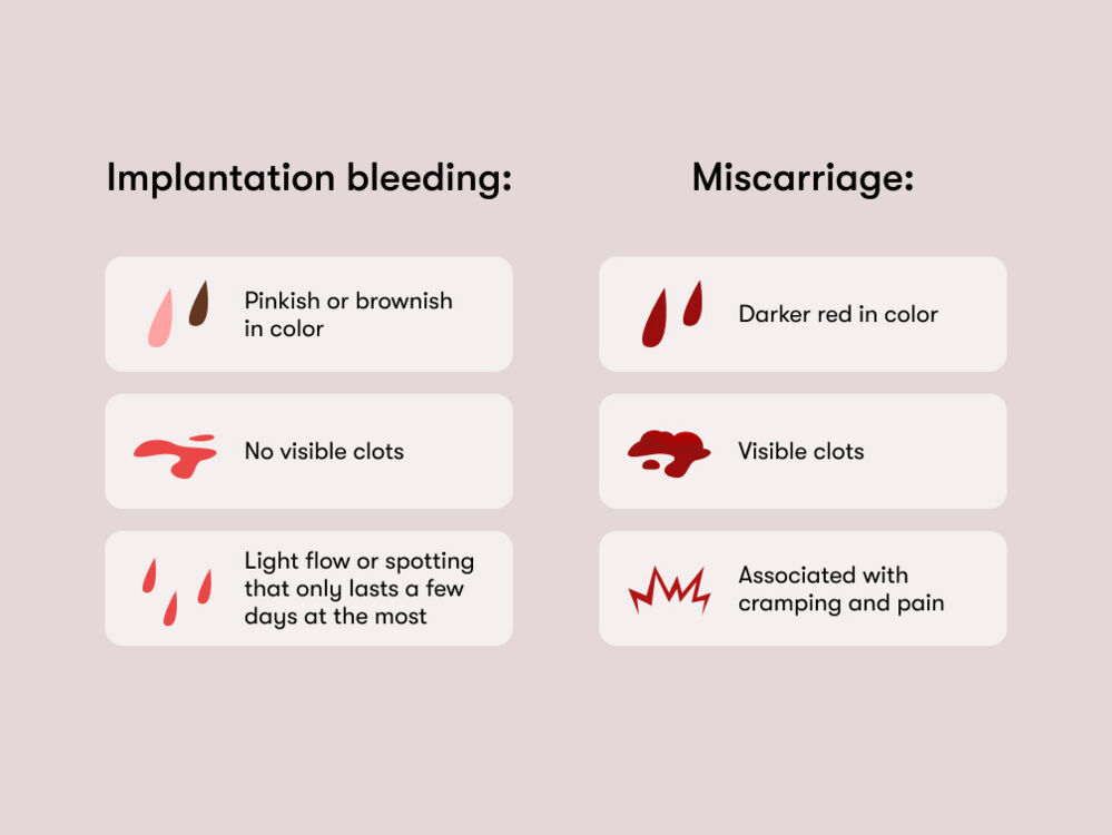 Implantation bleeding differs from miscarriage bleeding by being a pinkish/brownish color, having a lighter flow, and not being associated with pain.