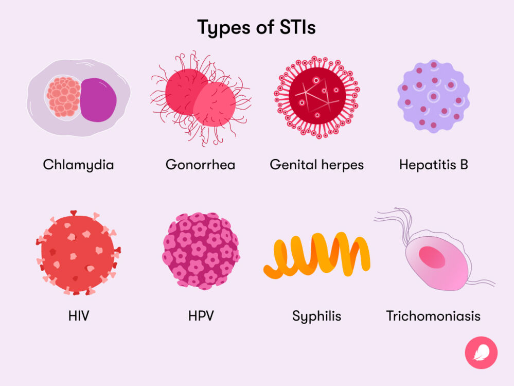 Illustration showing bacteria, viruses, and parasites related to sexually transmitted infections.