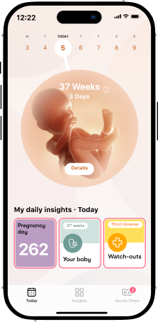 Screenshot of Flo app pregnancy mode showing the pregnancy stage and baby development