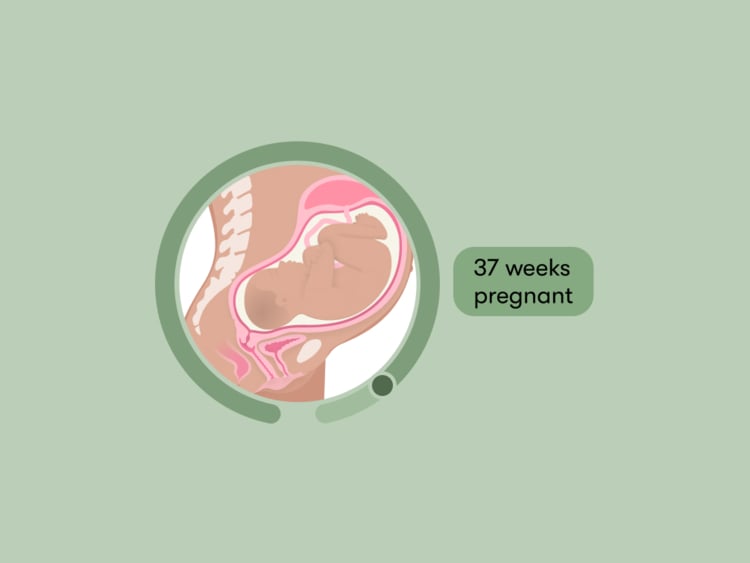 37 weeks pregnant: Your guide to this week of your third trimester