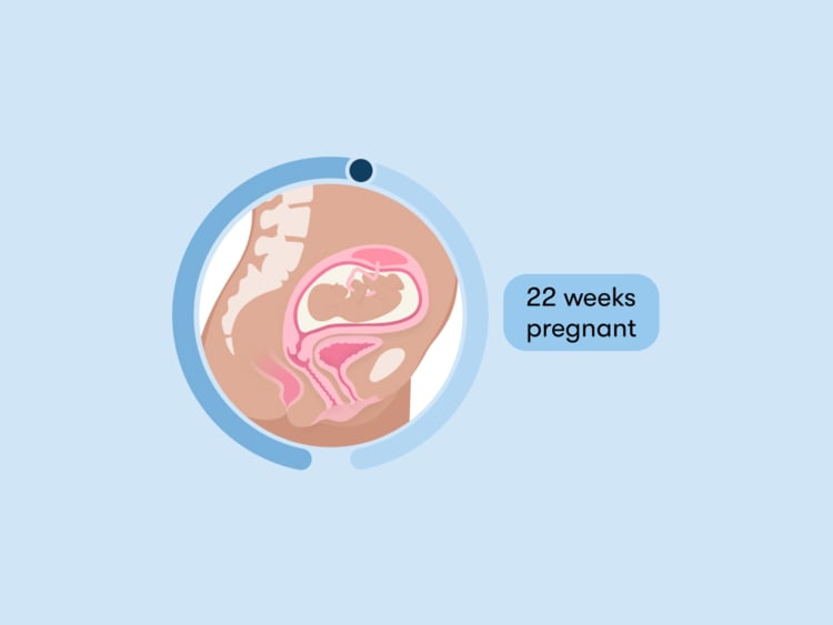 22 weeks pregnant: Your guide to this week of your second trimester