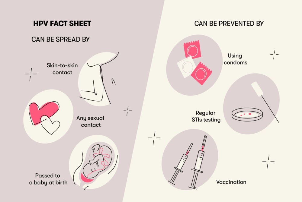 HPV fact sheet HPV can be transmitted through skin-to-skin contact, sexual activity, and during childbirth. Preventive measures include practicing safe sex, receiving the HPV vaccine, and getting regular STI screenings.