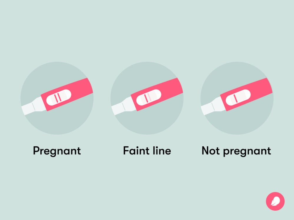 Difference between a faint line and a strong line on a pregnancy test A faint line on a pregnancy tests indicates low levels of hCG, and it might appear due to diluted urine, early stages of pregnancy or intake of hCG-containing medications