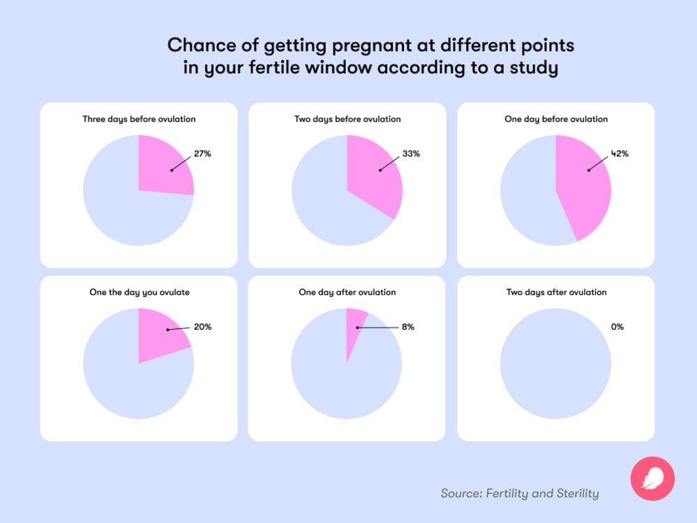 Single image Infographic displaying chances of getting pregnant at different points of the fertile window