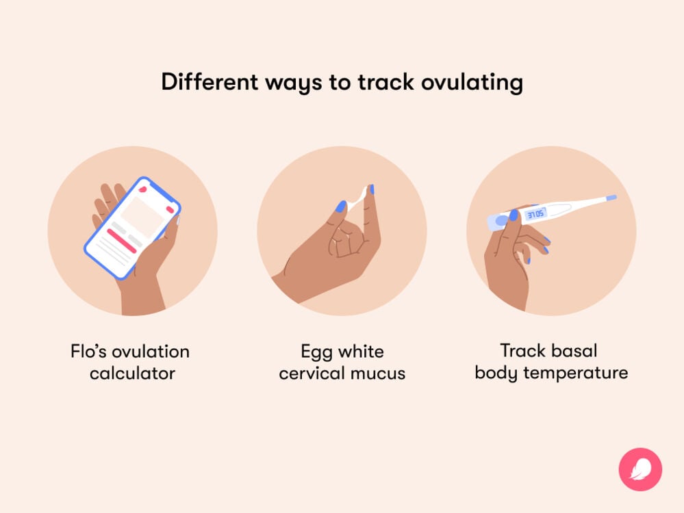 Unprotected sex during ovulation: Am I pregnant? | Flo