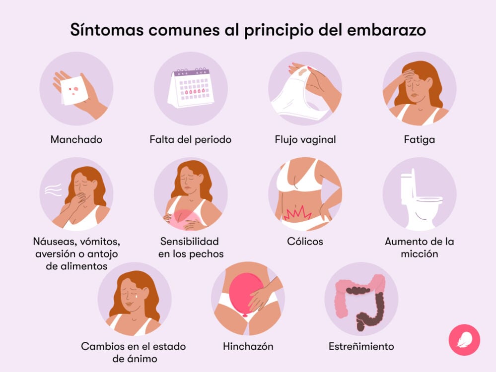 Single image Los primeros síntomas de embarazo más frecuentes son náuseas, rechazo a la comida y vómitos, retortijones, fatiga, flujo vaginal, cambios de humor y distensión abdominal.
