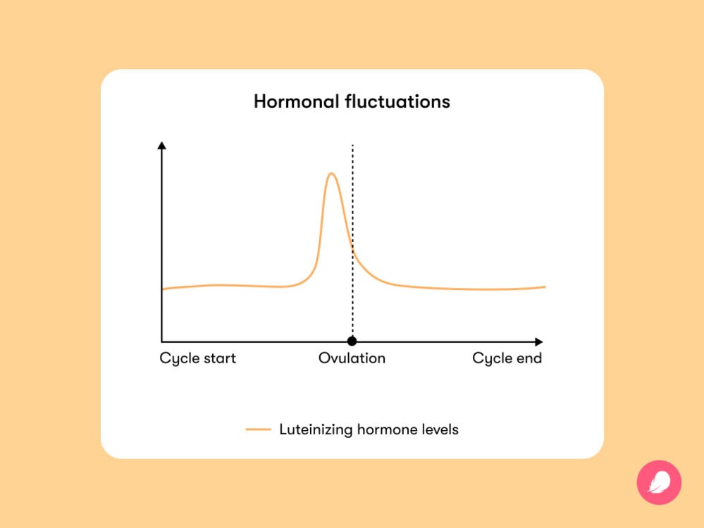 Graph showing how luteinizing hormone levels change throughout the cycle The levels of luteinizing hormone reach their peak around the middle of the cycle (day 14-16) and that’s when there are higher chances of getting pregnant