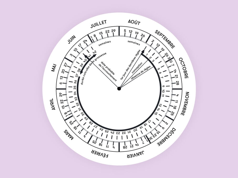 calendrier de grossesse calendrier de grossesse
