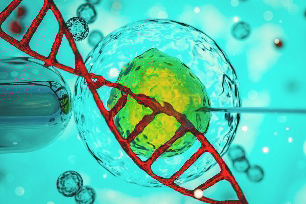 process of egg donation process of egg donation