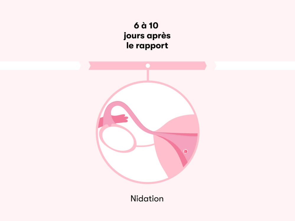 Temps nécessaire pour tomber enceinte après un rapport Temps nécessaire pour tomber enceinte après un rapport
