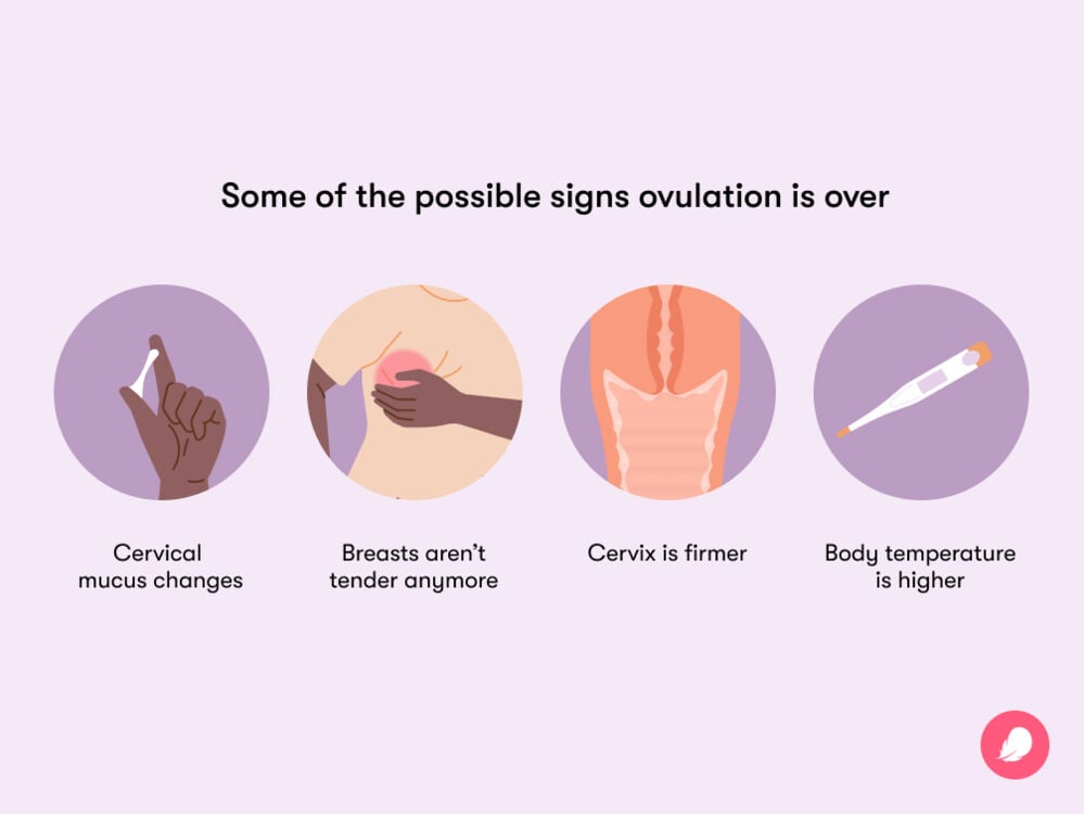 Single image Infographic with signs that could indicate that ovulation is over