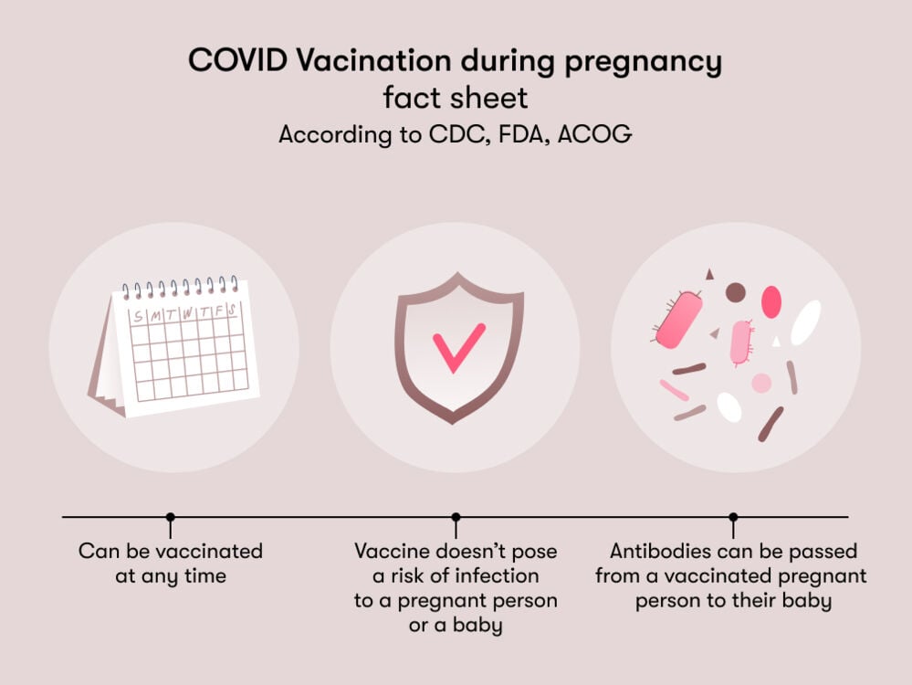 COVID vaccine during pregnancy According to CDC, FDA and ACOG, a pregnant woman can be vaccinated against COVID at any time without risking infection to the mother or baby, and the antibodies can be passed on to the baby.