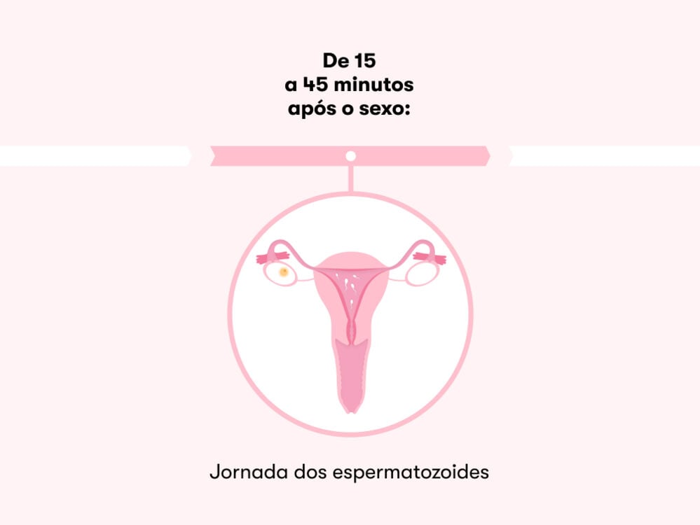 Como Fazer Relacao Sexual Para Engravidar 10 Mitos E Verdades Sobre