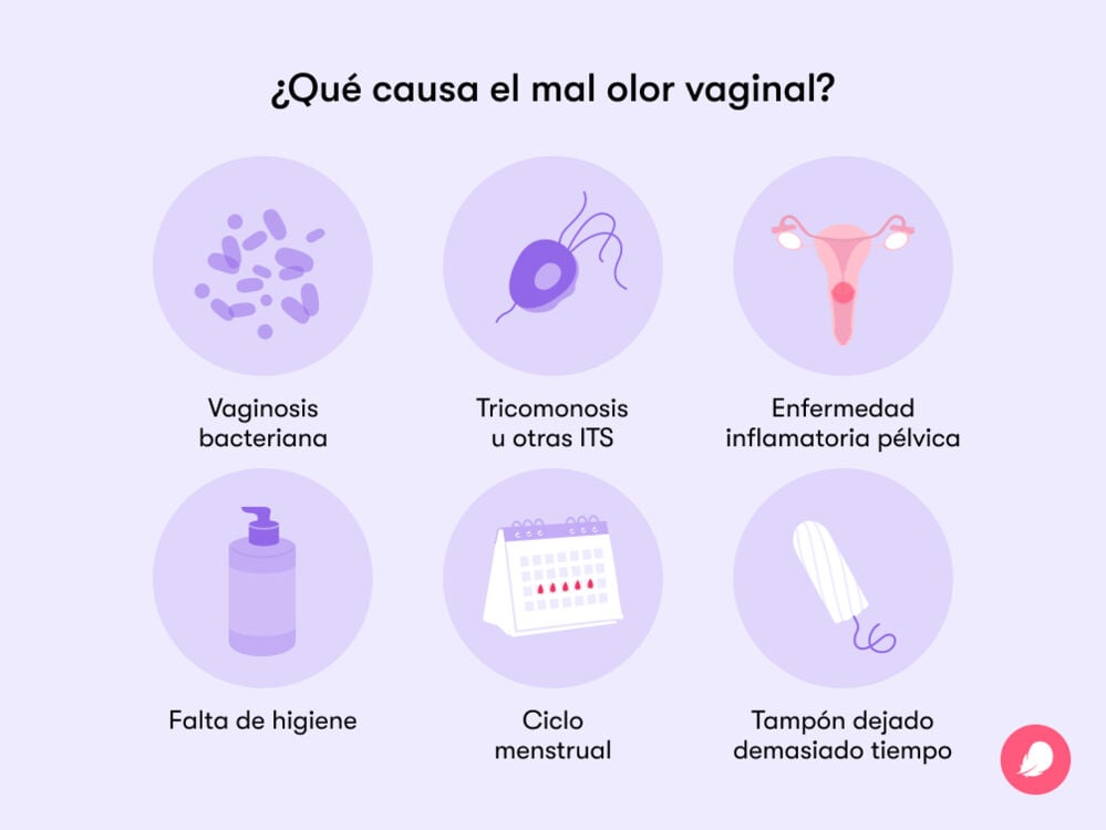 Single image Las causas del mal olor vaginal más comunes son: falta de higiene, vaginosis bacteriana, tricomonosis u otras ITS, enfermedad inflamatoria pélvica y fluctuaciones hormonales.