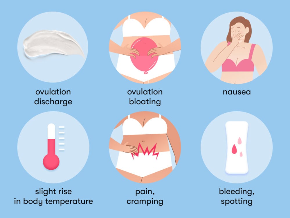 Most common symptoms of ovulation The most common signs of ovulation include cramping, nausea, spotting, ovulation discharge, bloating and slight rise in body temperature