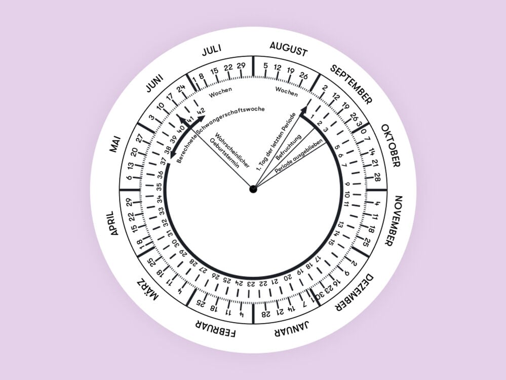 schwangerschaftskalender