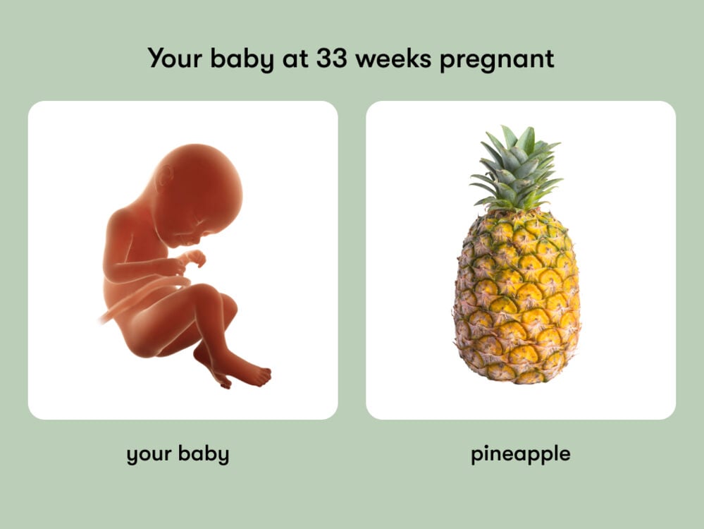 At 33 weeks pregnant, your baby is the size of a pineapple At week 33 of pregnancy, the baby is around 44 cm long, equivalent to the size of a pineapple