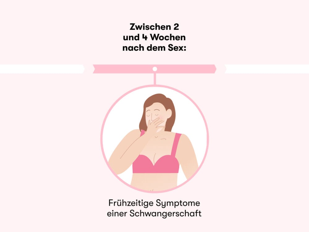 Zeitleiste, die zeigt, wie lange es dauert, nach dem Sex schwanger zu werden Zeitleiste, die zeigt, wie lange es dauert, nach dem Sex schwanger zu werden