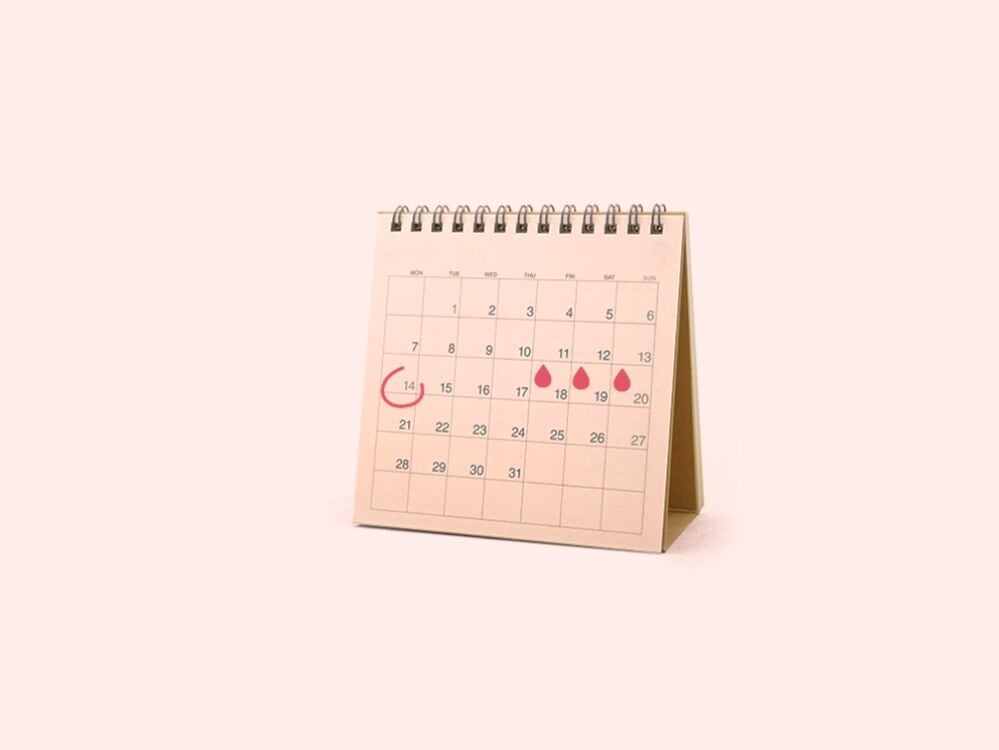 Ein Kalender, der zur Planung von Sex verwendet wird, um ein Mädchen zu zeugen Ein Kalender, der zur Planung von Sex verwendet wird, um ein Mädchen zu zeugen
