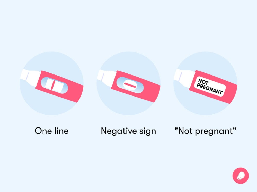negative pregnancy test results The results of home pregnancy tests usually show up as one or two lines, a plus or minus sign, or words such as “pregnant” or “not pregnant”