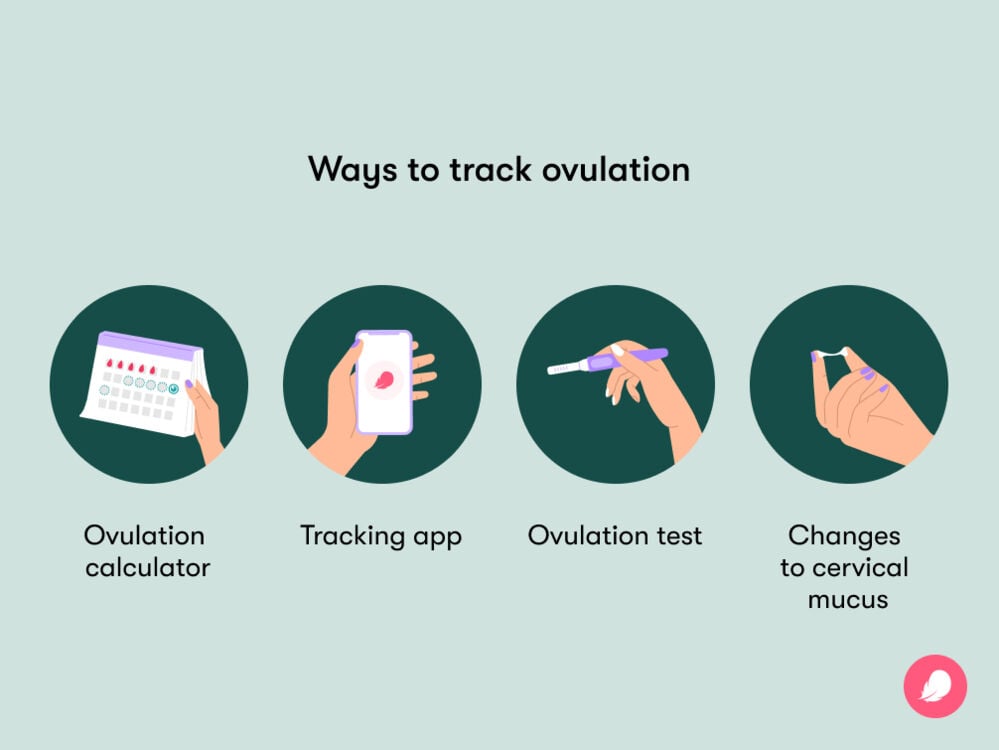 Single image Image displaying four different ways to track ovulation