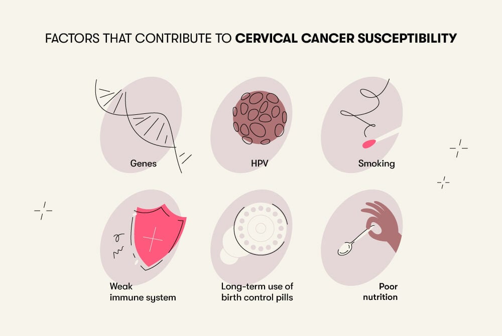 Factors contribute to cervical cancer susceptibility Factors that can increase the risk of developing cervical cancer include genetics, HPV infection, a weakened immune system, smoking, prolonged use of birth control pills, and diets low in nutrients.