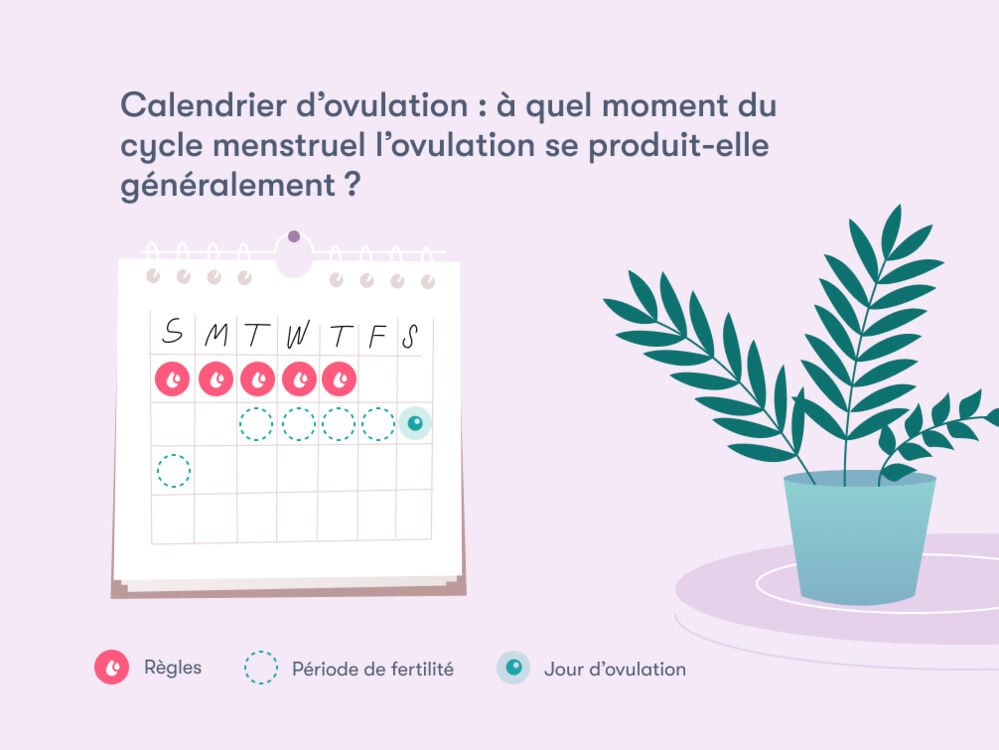 Calcul D ovulation Flo Health calcul-d-ovulation-flo-health