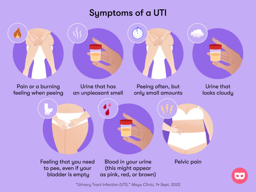 symptoms of a UTI infographic Some symptoms of urinary tract infections include a burning sensation when urinating, cloudy or bloody urine, pelvic pain, and the urge to urinate with an empty bladder.