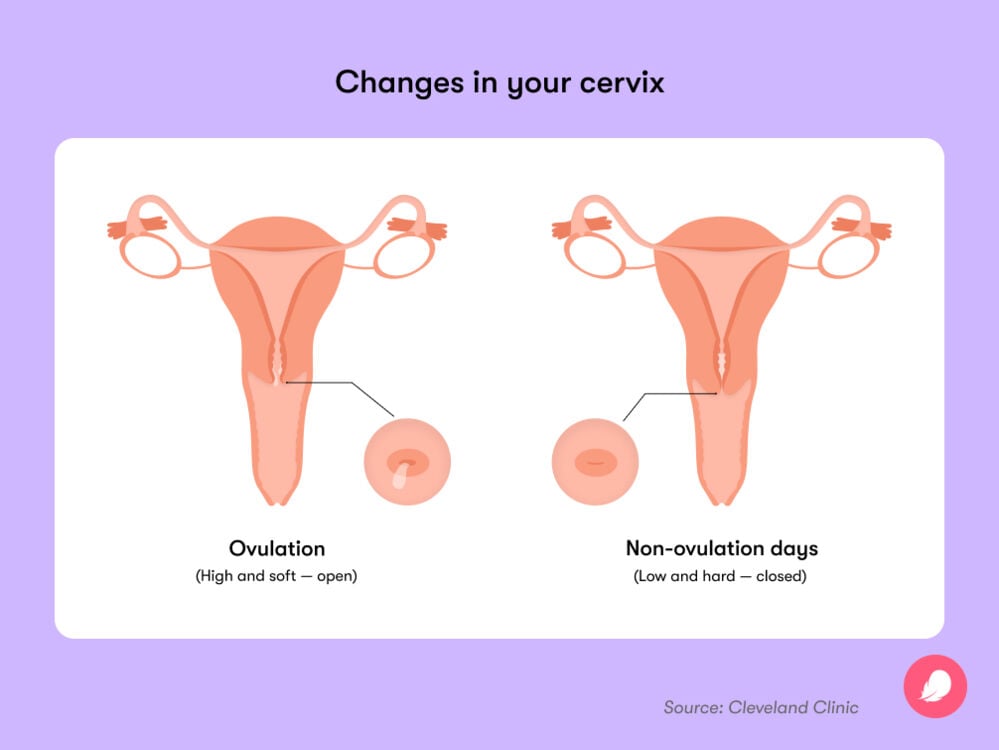 Single image Single image