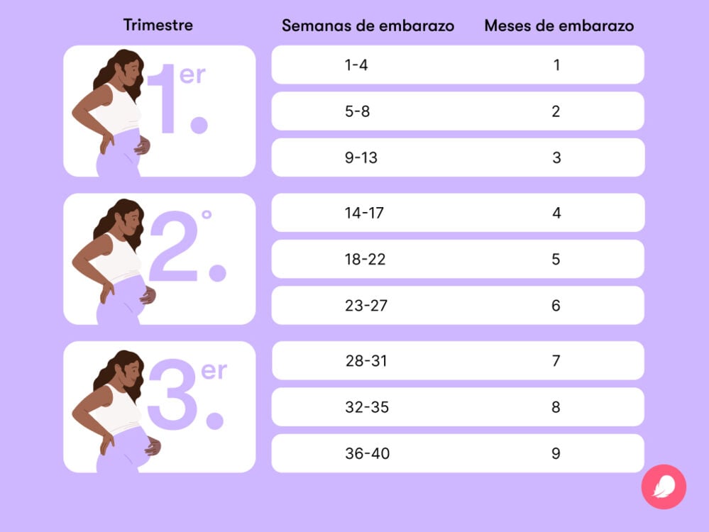 Single image Tabla que muestra cómo convertir semanas de embarazo a meses