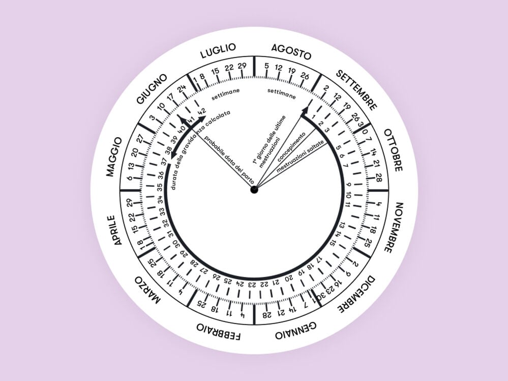 ruota della gravidanza ruota della gravidanza