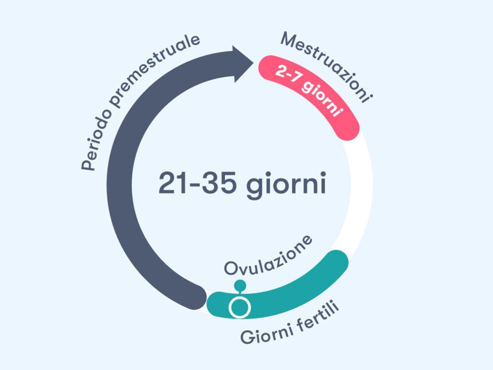 Calcolo ciclo mestruale - Flo