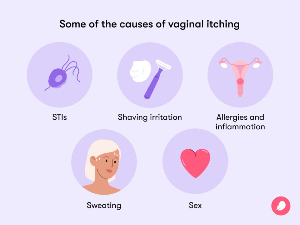 some causes of vaginal and vulval irritation Some of the causes of vaginal itching include sweating, shaving irritation, sex allergies and STIs