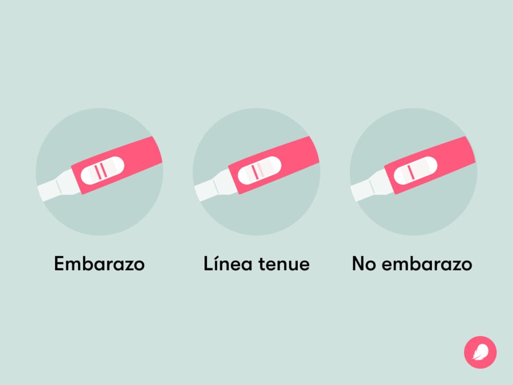 Single image Una línea muy tenue en un test de embarazo indica niveles bajos de hCG, y puede deberse a que la orina esté diluida, a las primeras fases del embarazo o al uso de medicamentos que contengan hCG