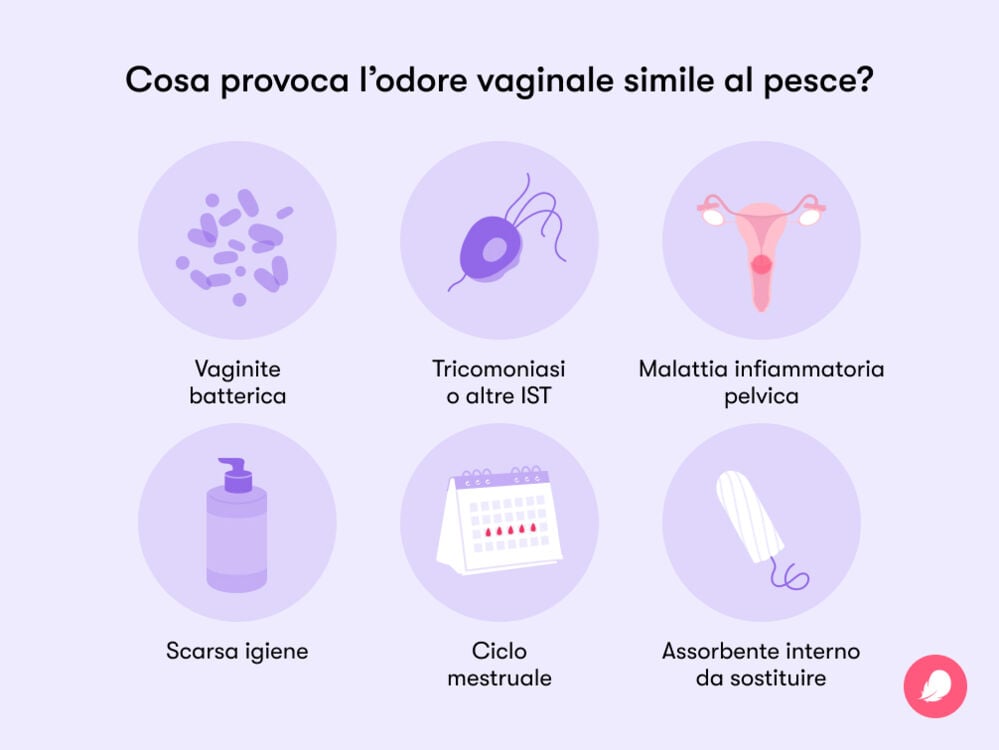 Single image Le cause più comuni degli odori intimi sgradevoli includono: scarsa igiene, vaginite batterica, tricomoniasi o altre infezioni sessualmente trasmissibili, malattia infiammatoria pelvica o squilibri ormonali.