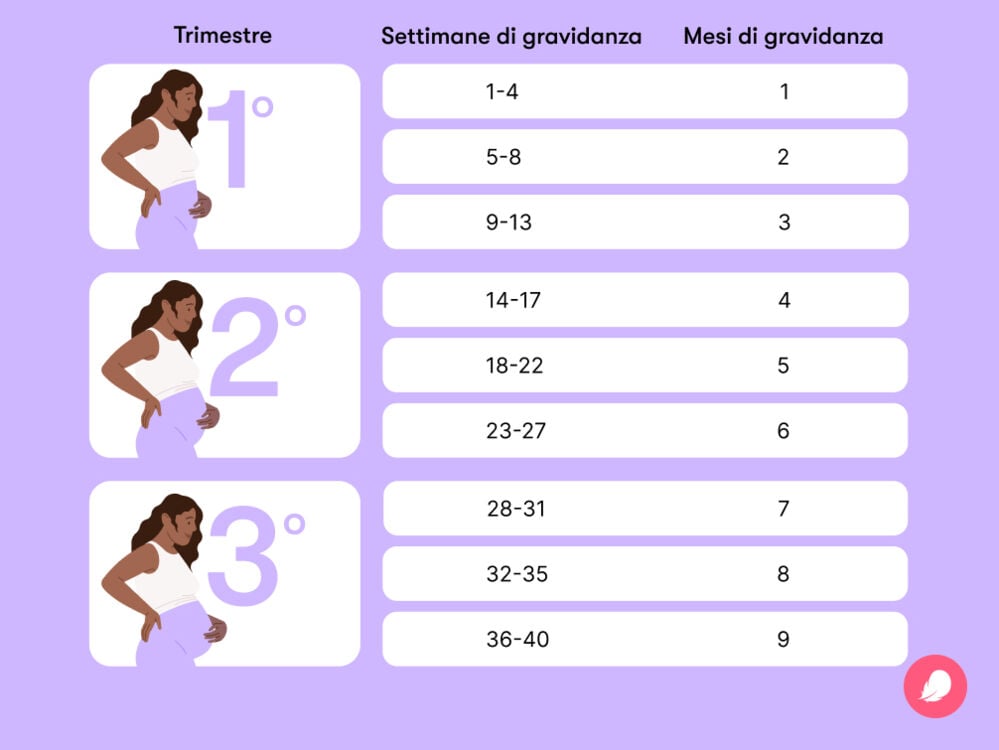 Single image Tabella per convertire le settimane di gravidanza in mesi