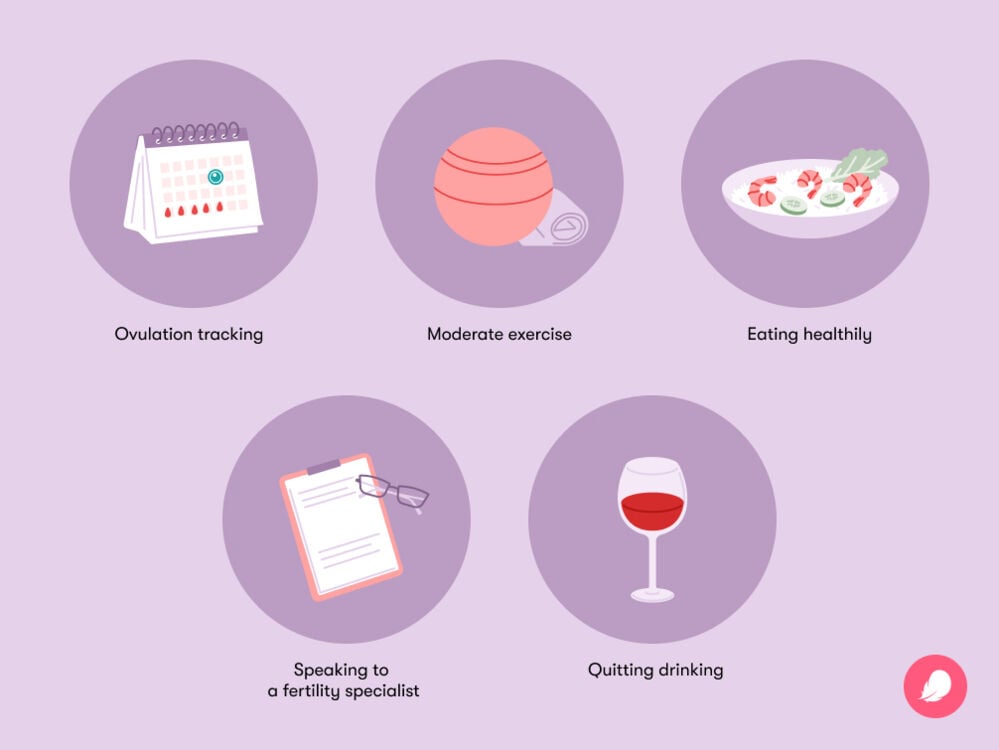 Single image Different ways to improve your chances of getting pregnant