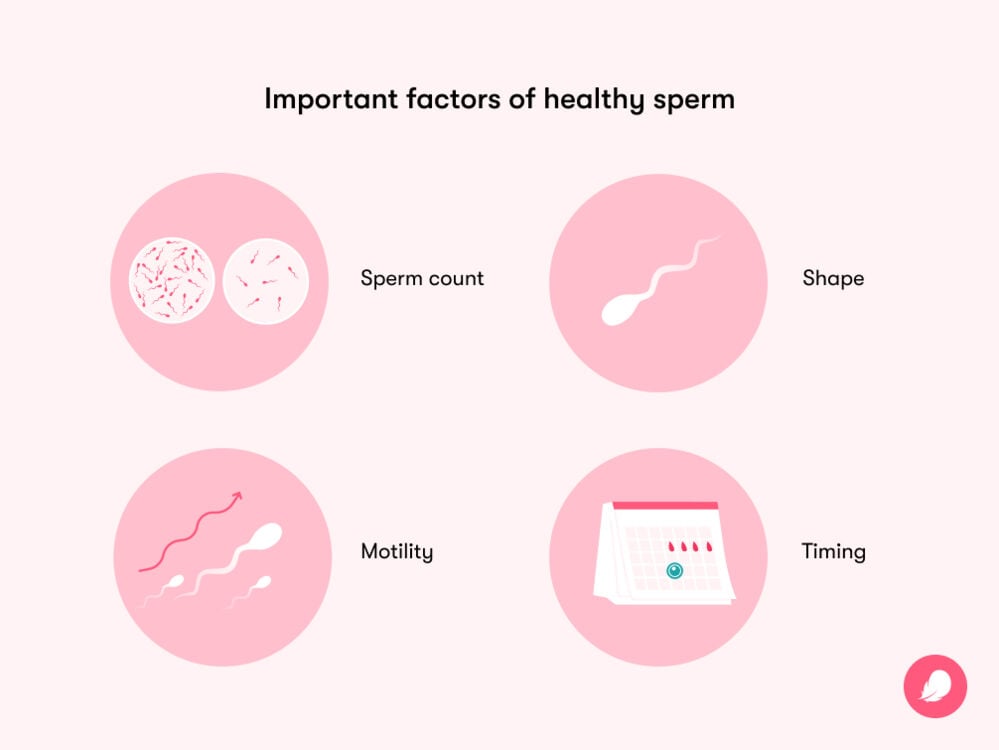 Single image Factors that indicate healthy sperm include sperm count, shape, motility, timing