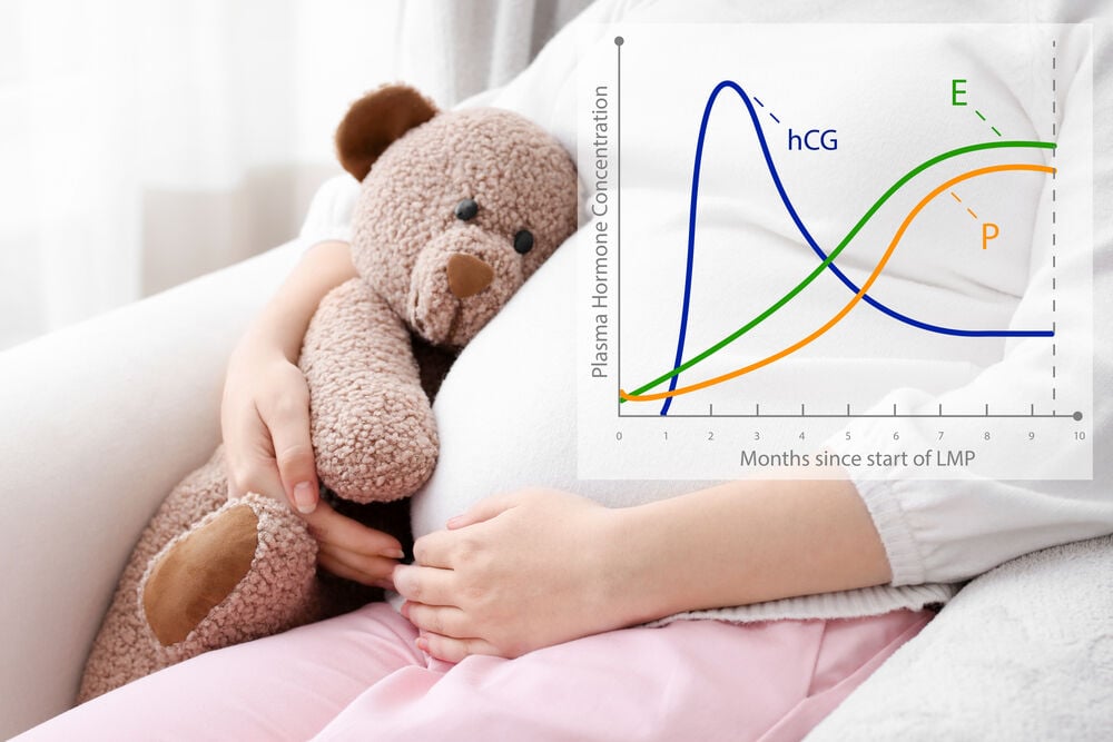 HCG chart and a pregnant woman HCG chart and a pregnant woman