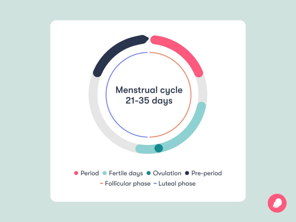 When to have sex to conceive: Your simple guide to ovulation tracking| Flo