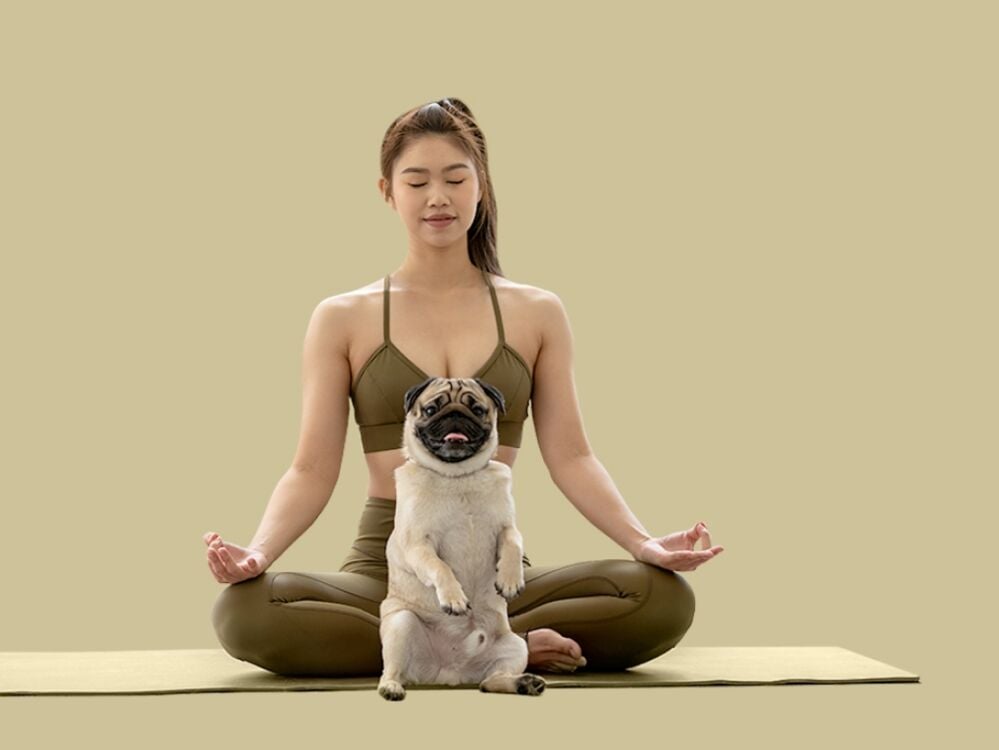 Exercises to help with period cramps Exercises to help with period cramps