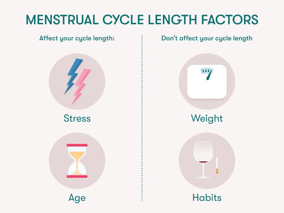 Single image Some factors, such as body weight, smoking, and drinking, do not significantly affect the length of your menstrual cycle, while other factors, like age and stress, might do.