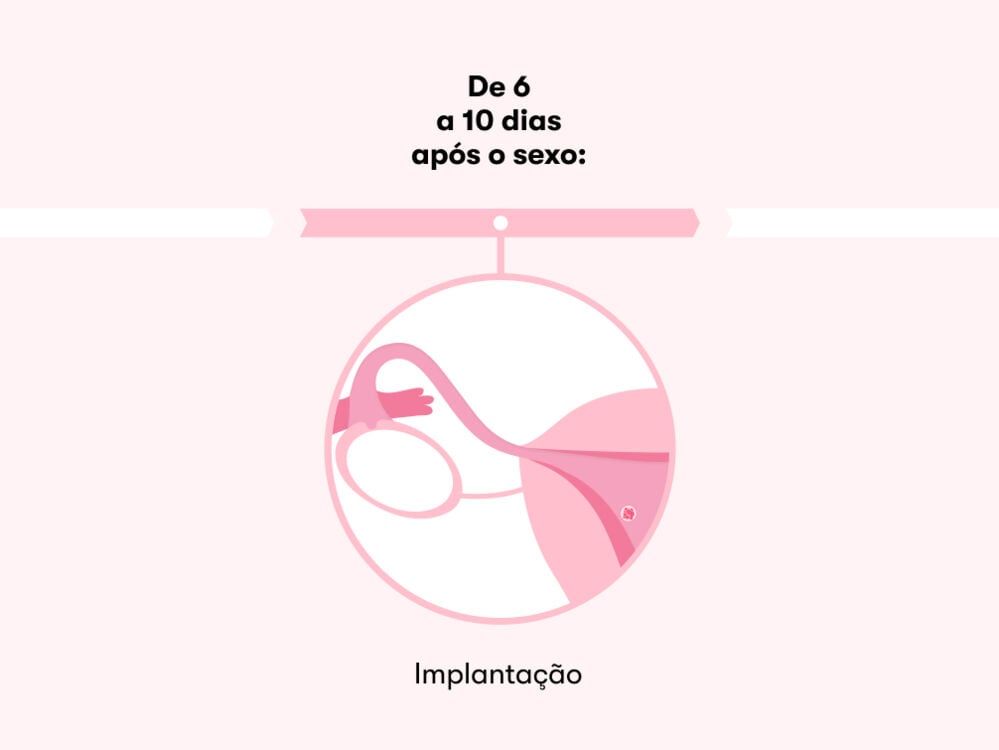 Quanto tempo demora a fecundação após a relação?