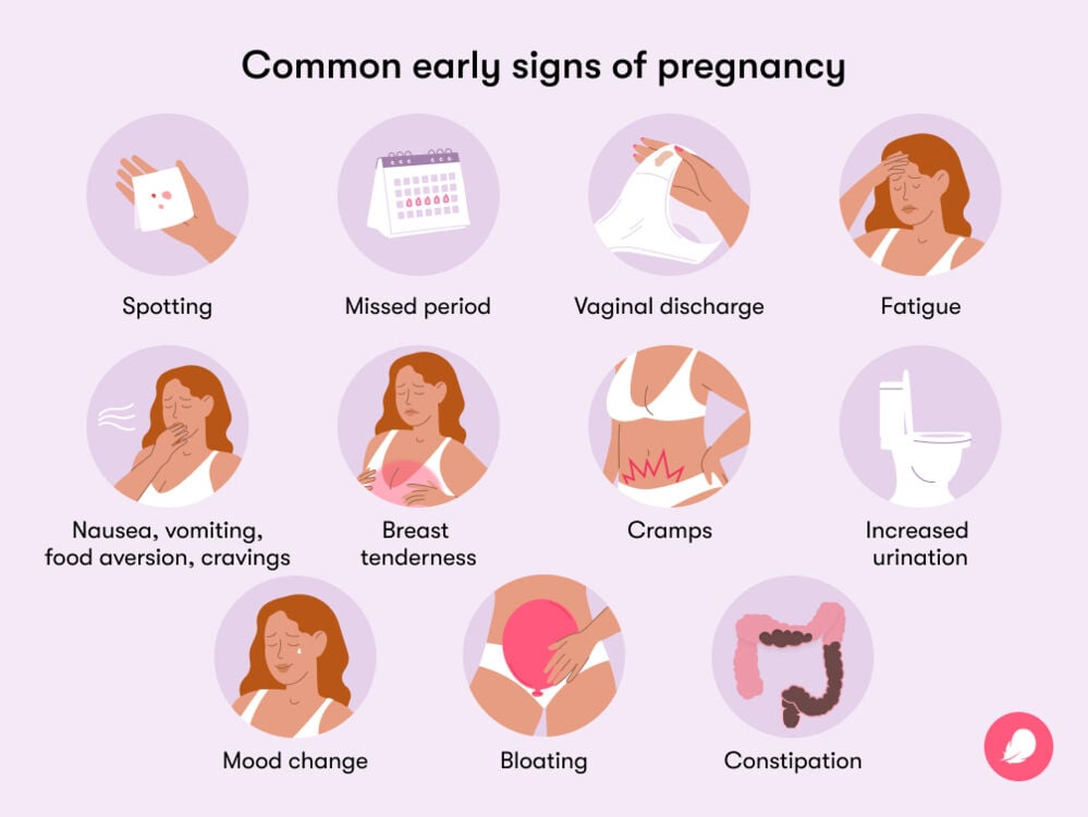 common early signs of pregnancy The most common early signs of pregnancy are nausea, food aversion and vomiting, cramps, fatigue, vaginal discharge, mood change and bloating