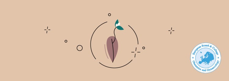 What You Should Know About IVF and Single Embryo Transfer What You Should Know About IVF and Single Embryo Transfer