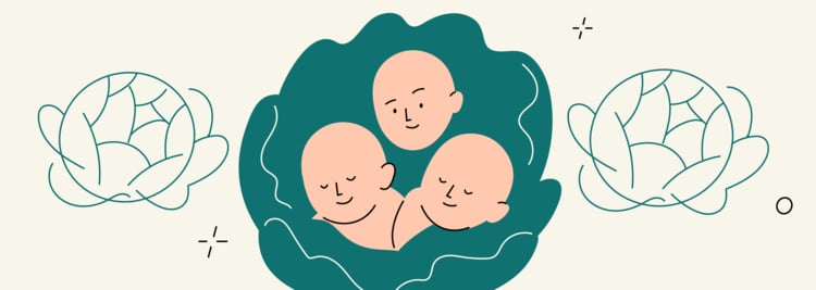 What to Expect When You’re Pregnant with Triplets What to Expect When You’re Pregnant with Triplets