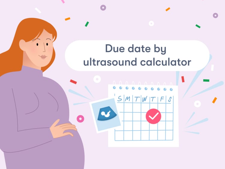 Due date calculator by ultrasound