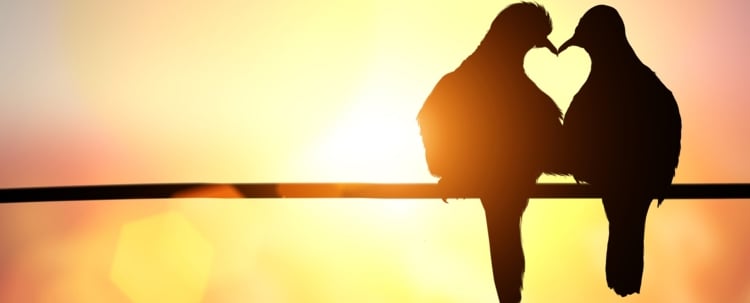 8 Safe Ways to Increase Your Libido 8 Safe Ways to Increase Your Libido